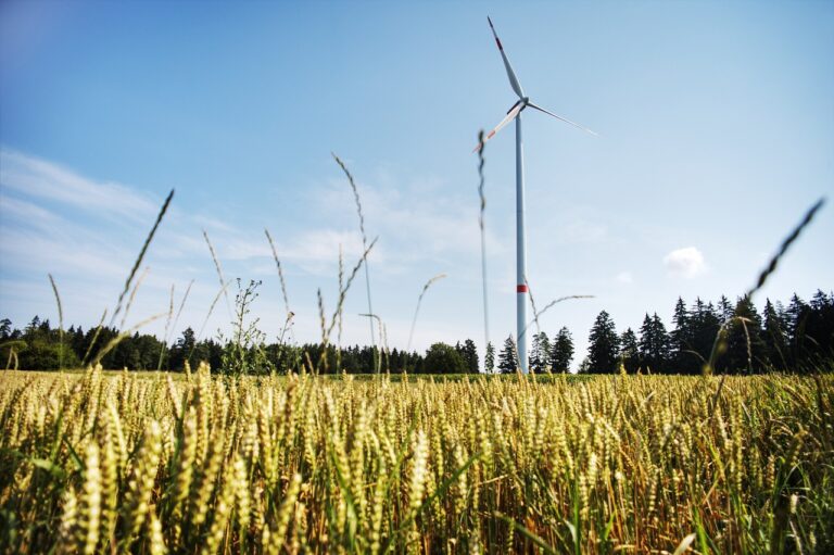 Odnawialne źródła energii na działkach rolnych
