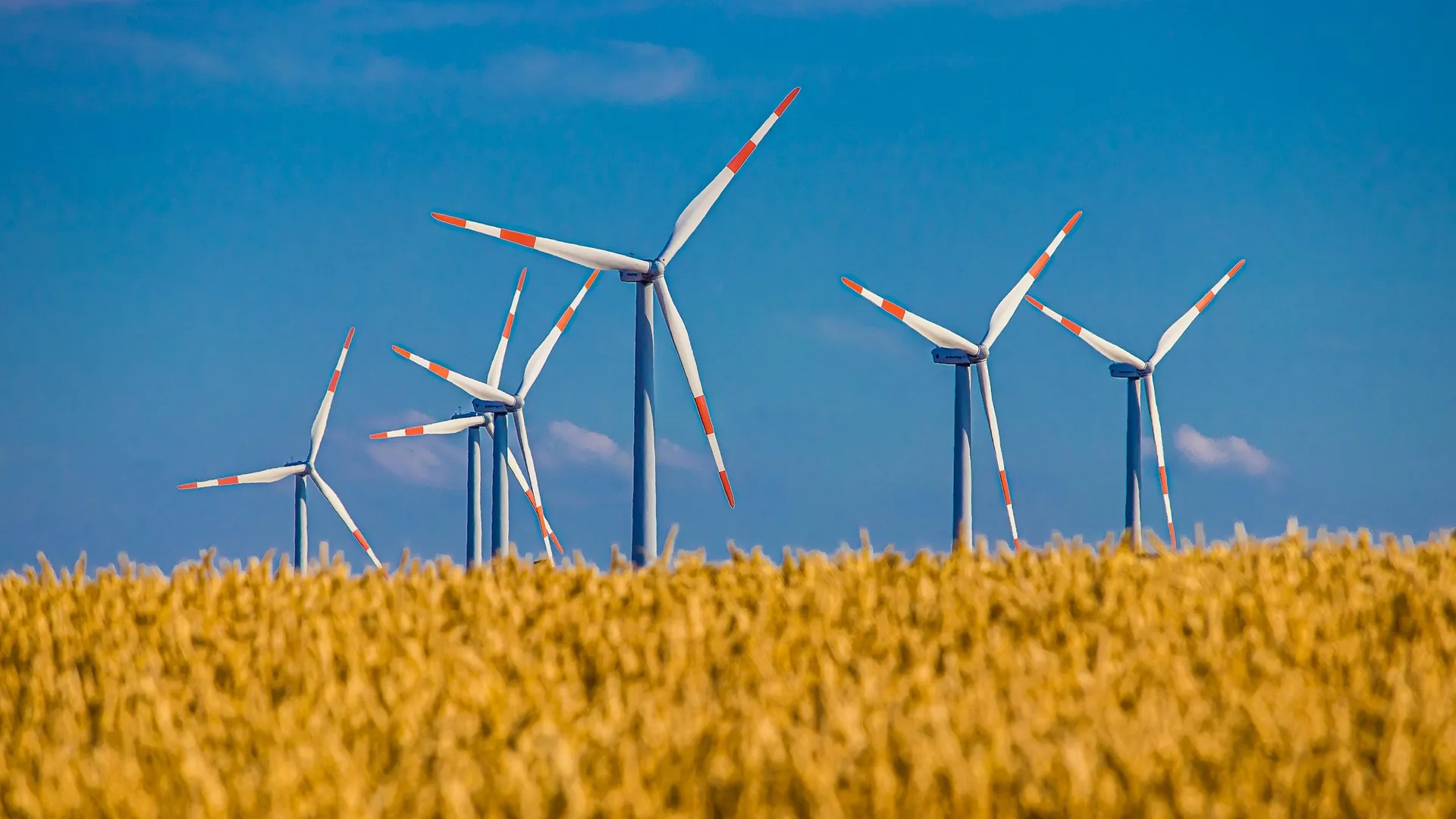 Elektrownia wiatrowa
